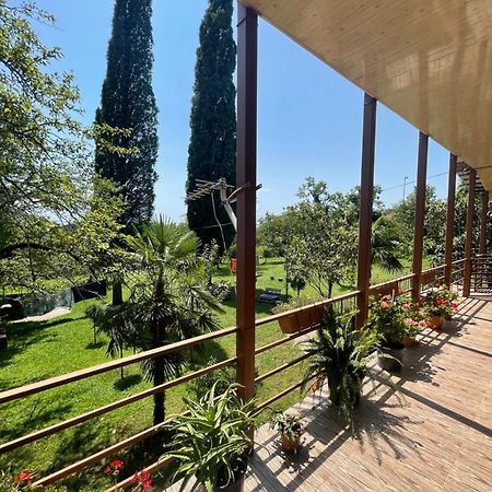 מרטווילי Villa Kardwell מראה חיצוני תמונה